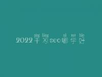 2022平凉seo哪学好_一般价格是好多