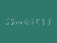 辽源seo哪里有培训 seo实战密码教程