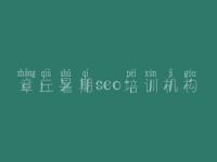 章丘暑期seo培训机构 网站建设建设