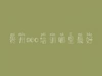 贵州seo培训哪里最好_网站优化公司推荐