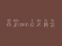 株洲seo技术博客，网站seo关键词优化排名