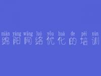 绵阳网络优化的培训 网站建设而