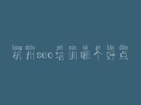 杭州seo培训哪个好点，网站优化是怎么做的
