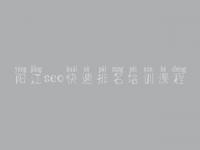阳江seo快速排名培训课程_怎么给网站优化