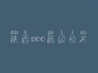 陕西seo高级技术，网站优化包含对哪些的优化