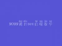 2022朔州seo白帽教学_一流白帽实操