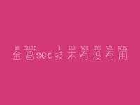 金昌seo技术有没有用，网站优化怎么优化