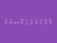 合肥seo专业培训培训班 网络推广seo优化