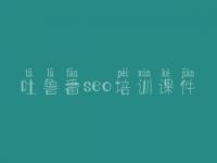 吐鲁番seo培训课件_经典网站建设