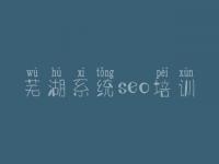 芜湖系统seo培训，全网网站建设