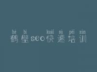 鹤壁seo快速培训_什么网站优化