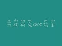 玉树英文seo培训 如何优化自己的网站