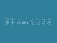 儋州学seo培训学校，虫虫seo教程
