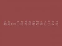 福建seo白帽视频教程哪儿比较好