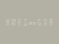 岳阳企业seo培训班 网站优化的主要内容