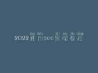 2022朔州seo黑帽教程_精品黑帽实操