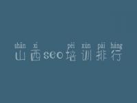 山西seo培训排行，金融网站优化