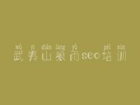 武夷山狼雨seo培训_网站优化是怎样做到的