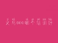 义乌seo哪个培训好，网站建设好的