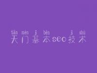 天门基本seo技术，网站优化有什么用