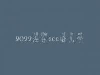 2022海东seo哪儿学_培训班_联系电话