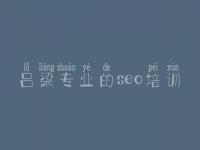 吕梁专业的seo培训 seo搜索优化