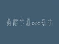 揭阳小磊seo培训 seo视频教程全集