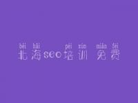 北海seo培训 免费，seo免费基础教程