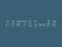 白银网上培训seo费用，如何优化一个网站