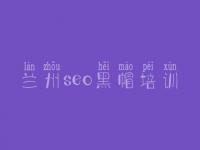 兰州seo黑帽培训_高级黑帽实操