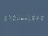 温岭高级seo培训课程 seo实例教程