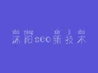 沭阳seo新技术，网站产品怎么优化