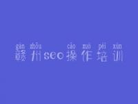 赣州seo操作培训，seo教程排名第一