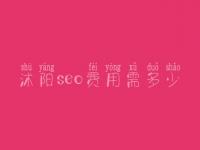 沭阳seo费用需多少_服务咋样