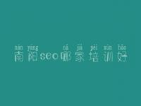 南阳seo哪家培训好 网站优化关键词优化