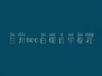 兰州seo白帽自学教程_高阶白帽实操