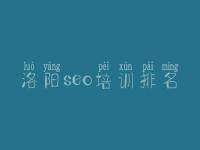 洛阳seo培训排名 哪公司建设网站