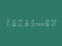 石嘴山博客seo教程_建设网站的公司