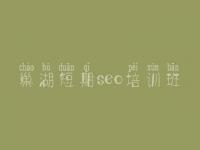 巢湖短期seo培训班，大型网站如何优化