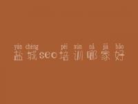 盐城seo培训哪家好 seo全套教程