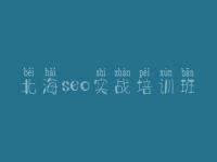 北海seo实战培训班_seo视频教程it教程网