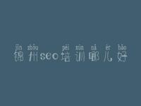 锦州seo培训哪儿好_好的优化网站的