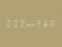 驻马店seo在哪学_课程_联系方式