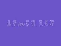 阜新seo培训 怎么样 seo网站排名优化公司