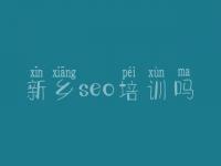新乡seo培训吗 seo快排教程