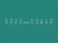 保亭参加seo培训哪里好 网络营销搜索引擎优化