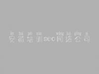 安徽培训seo网络公司，主页网站建设