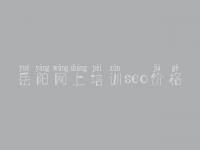 岳阳网上培训seo价格 优化网站界面