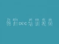 锦州seo培训视频 建设个网站