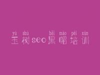 玉树seo黑帽培训_一流黑帽实操